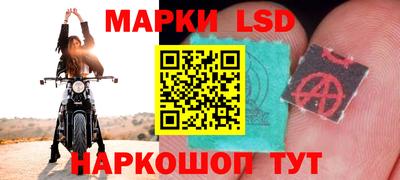 спиды Дубна