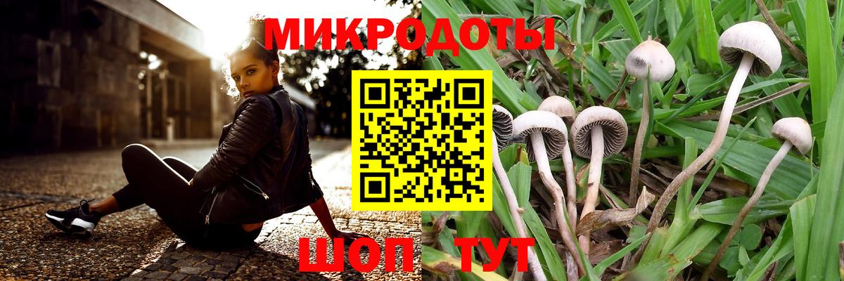 Галлюциногенные грибы мицелий Миллерово