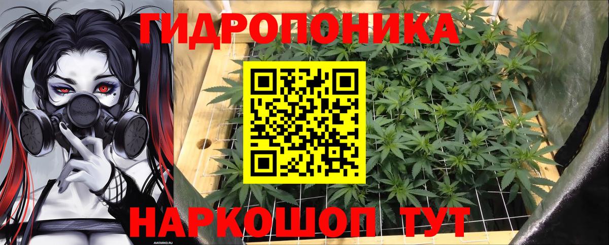 Каннабис конопля Миллерово